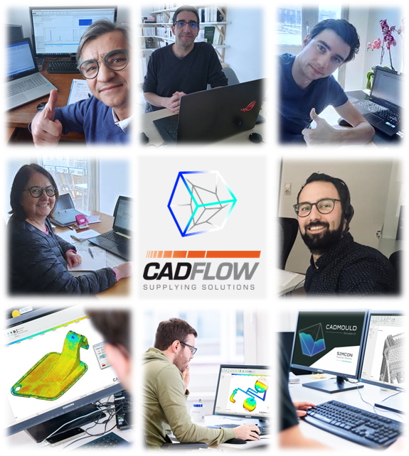 Webinaire Cadmould Online Boot Camps